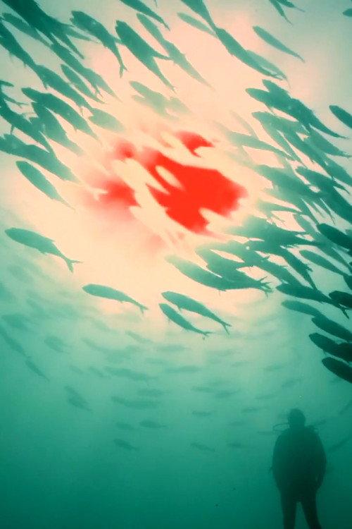 Red Sun 2018 official movie poster