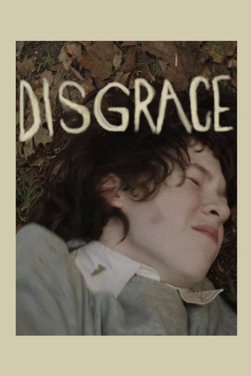 Disgrace 2013 official movie poster