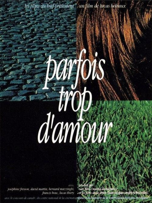 Parfois trop d'amour 1993 official movie poster