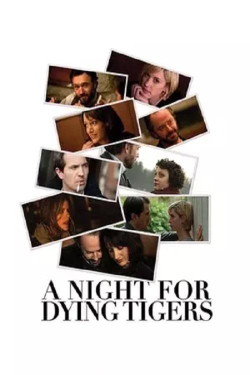 A Night for Dying Tigers 2010 official movie poster