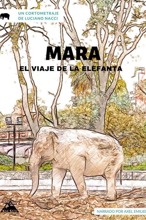Mara, el viaje de la elefanta 2020 official movie poster