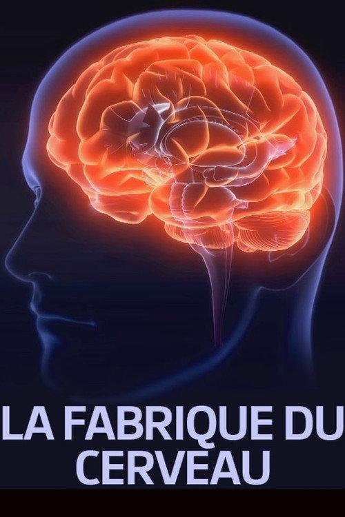 La fabrique du cerveau 2017 official movie poster