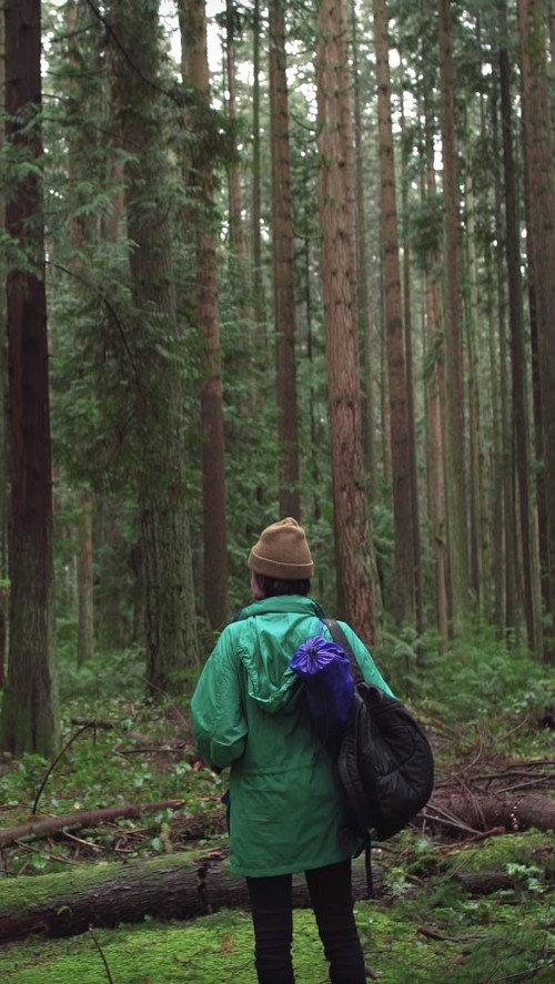 Forest Movie 2017 official movie poster