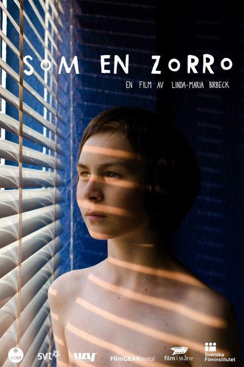 Just Like Zorro 2012 official movie poster