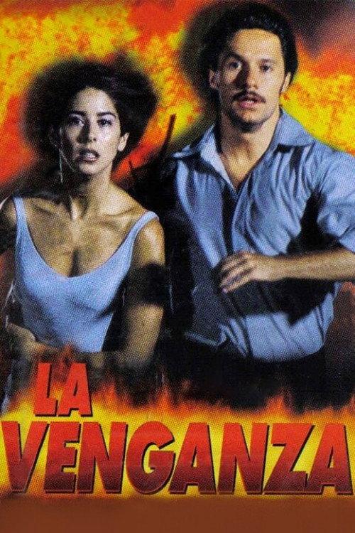 The Revenge 1999 official movie poster