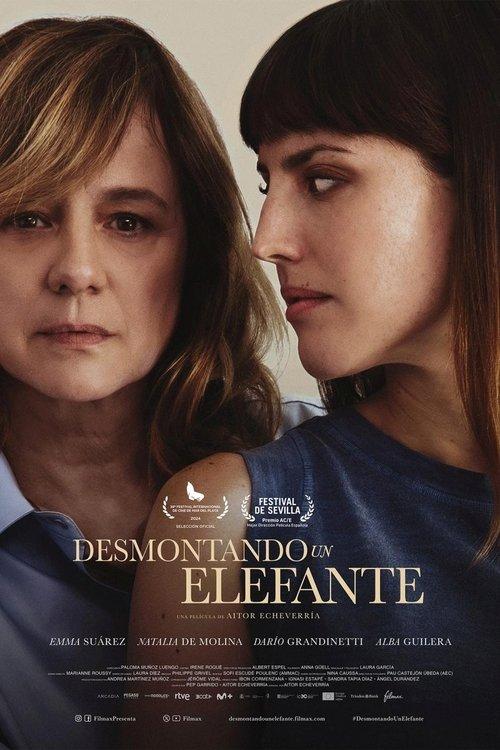 Dismantling an Elephant 2025 official movie poster