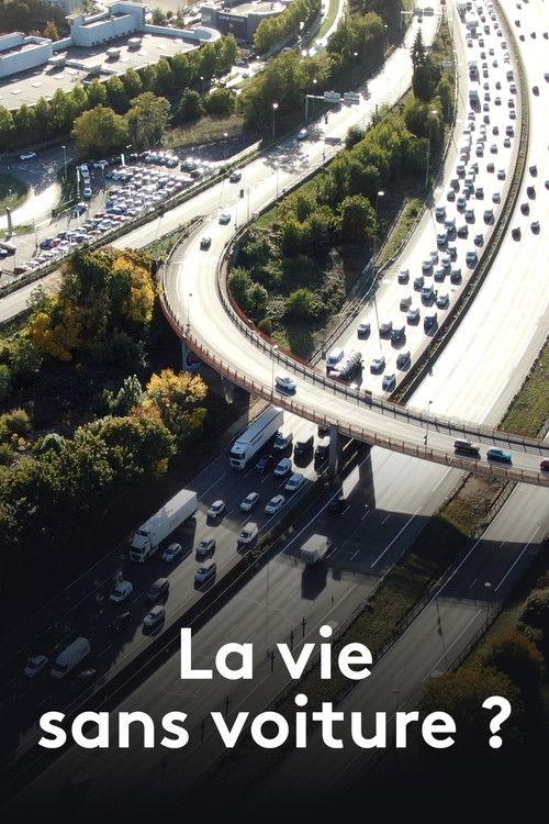 La Vie sans voiture ? 2024 official movie poster