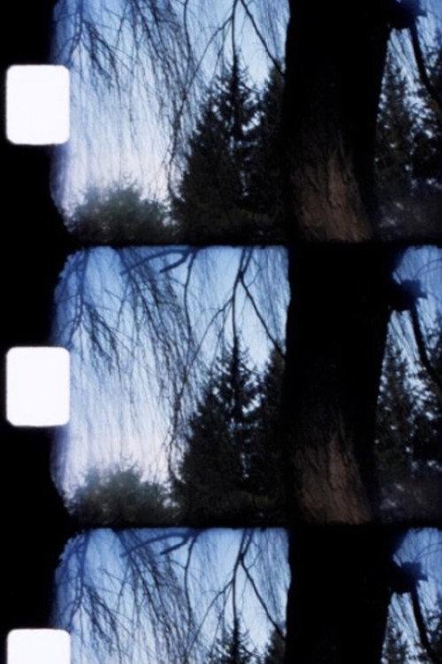 Jardin 1990 official movie poster