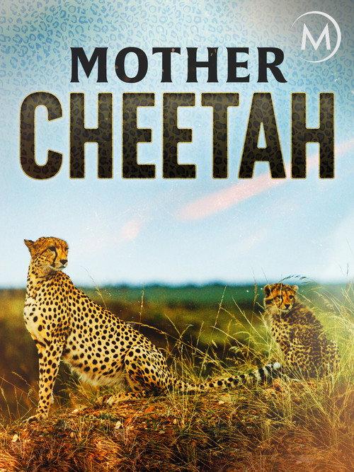Cheetah Mom 2013 official movie poster