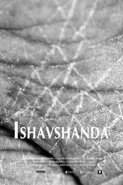 Ice Handscape 2014 official movie poster