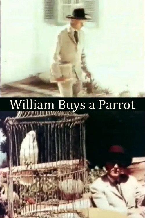 William Buys a Parrot 1963 official movie poster