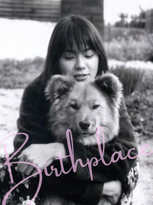 Birthplace 2003 official movie poster