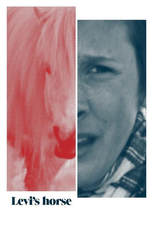 Levi's horse 2011 official movie poster