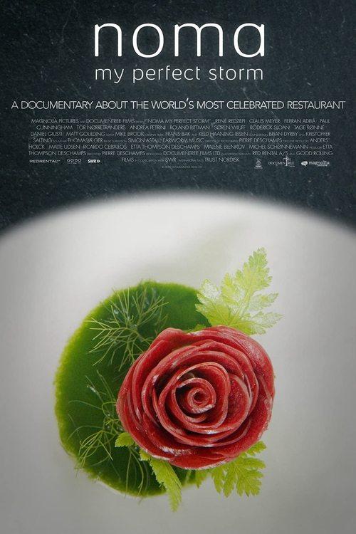 Noma: My Perfect Storm 2015 official movie poster