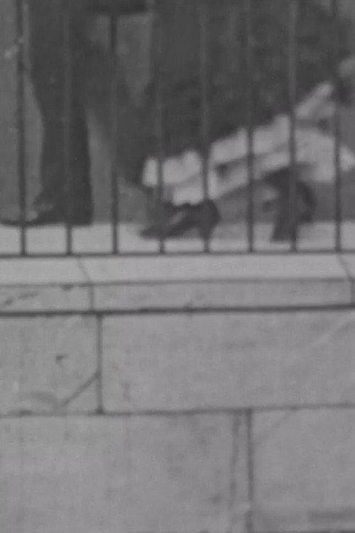 Photograph Taken From An Area Window 1901 official movie poster