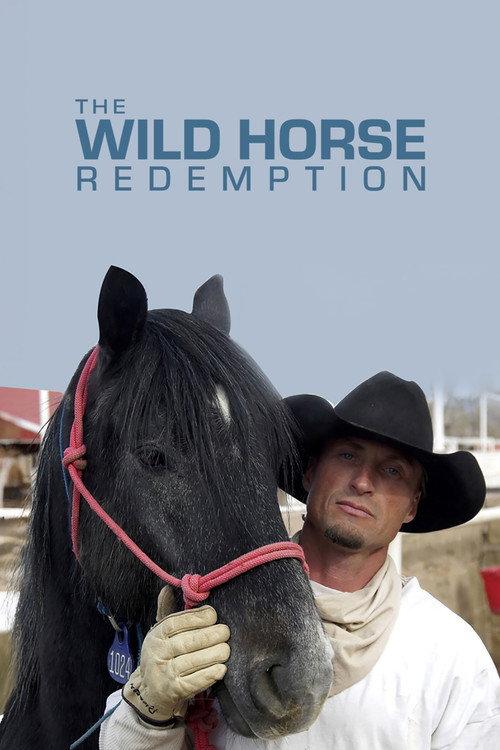 The Wild Horse Redemption 2007 official movie poster
