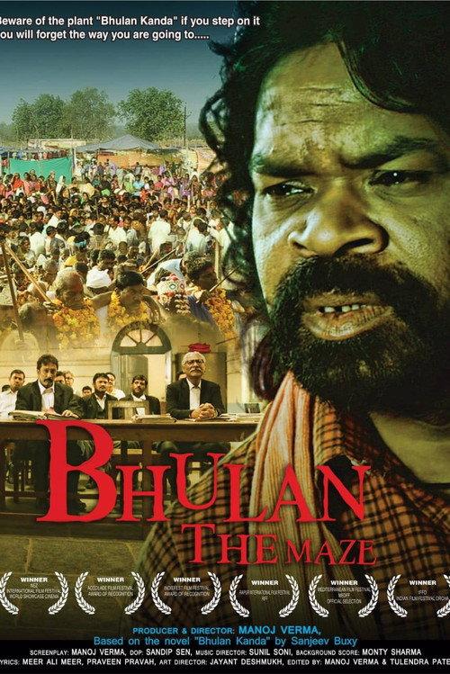Bhulan The Maze 2017 official movie poster