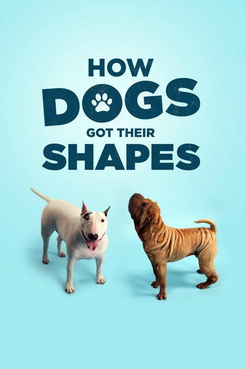 How Dogs Got Their Shapes 2016 official movie poster