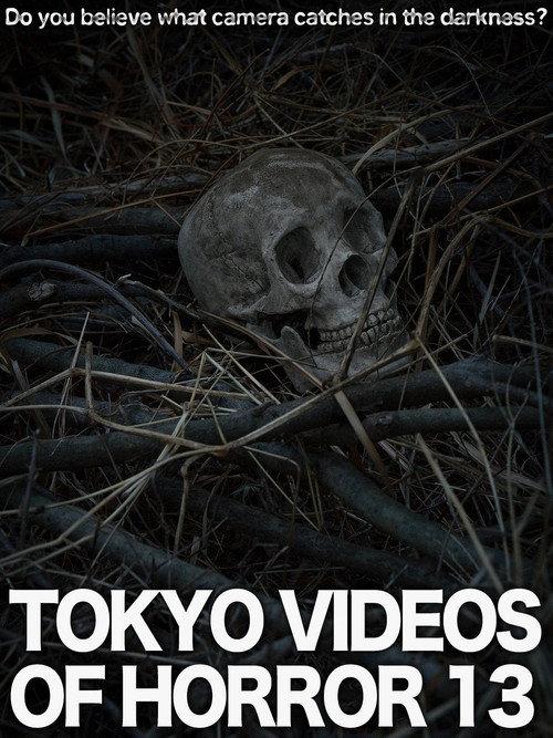 Tokyo Videos of Horror 13 2015 official movie poster