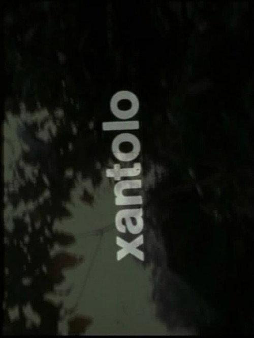 Xantolo, fiesta de la muerte 1973 official movie poster