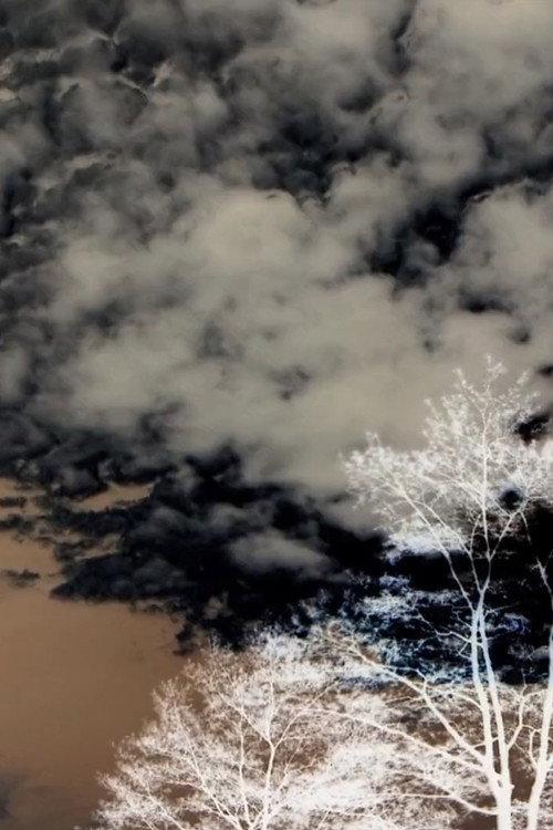 Clouds and Trees 2020 official movie poster