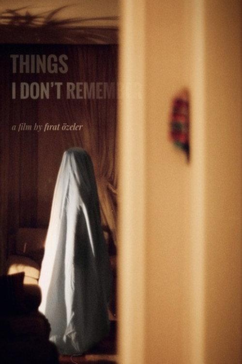 Things I Don't Remember 2021 official movie poster