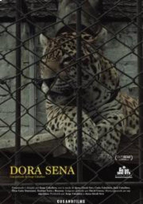 Dora Sena 2020 official movie poster