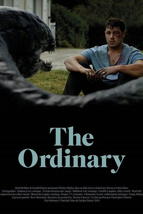 The Ordinary 2016 official movie poster