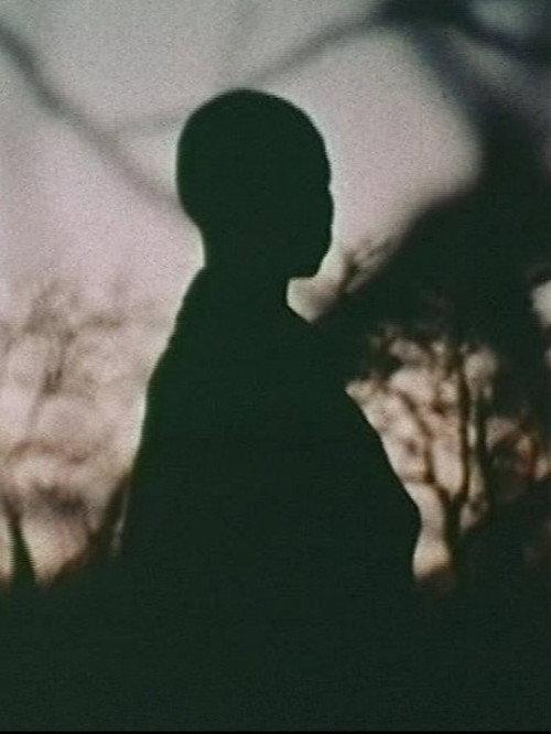 Nawi 1970 official movie poster