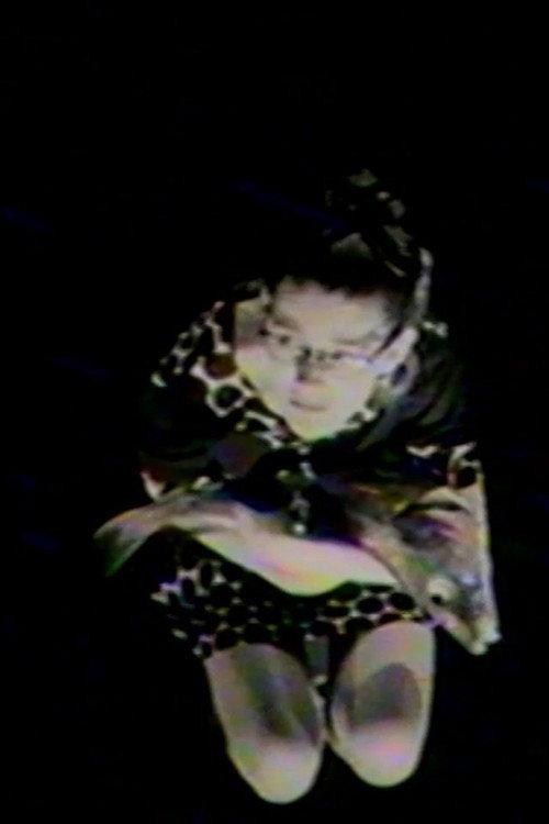 The Fish of Love 1994 official movie poster