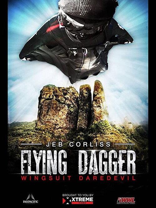 Flying Dagger 2014 official movie poster