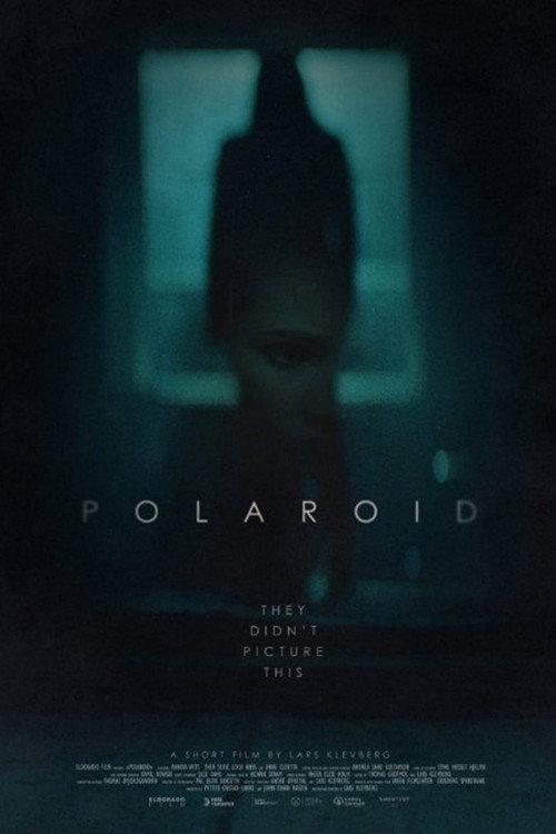 Polaroid 2015 official movie poster