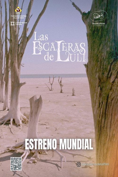 Luli's Stairs 2025 official movie poster