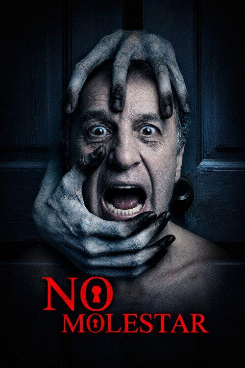 No Molestar 2026 official movie poster
