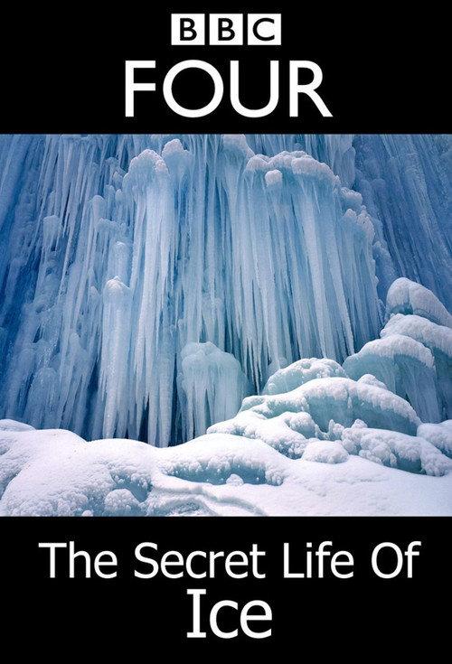The Secret Life Of Ice 2011 official movie poster