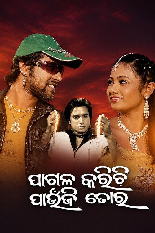 Pagala Karichi Paunji Tora 2009 official movie poster