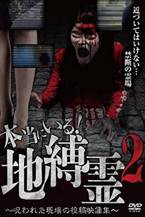 They Really Exist! Earthbound Spirits 2 - Cursed Scene Submitted Video Collection 2016 official movie poster