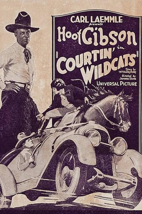 Courtin' Wildcats 1929 official movie poster