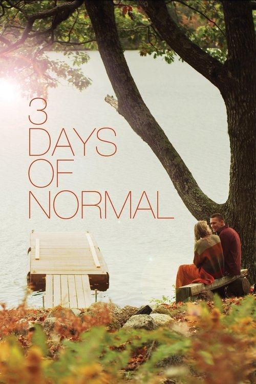 3 Days of Normal 2012 official movie poster