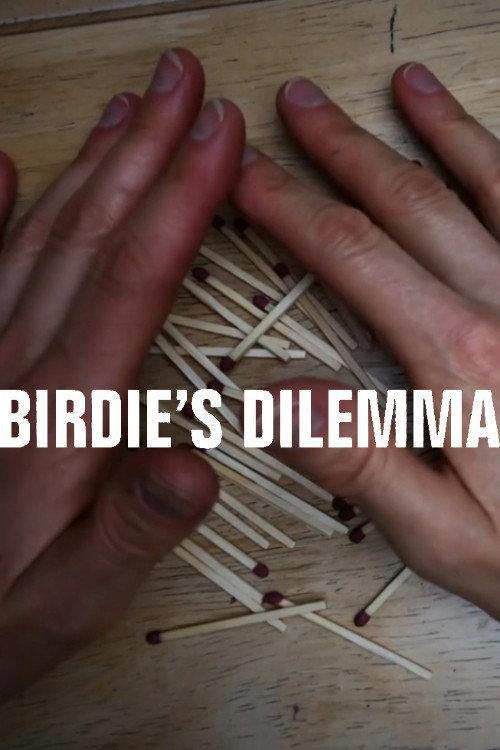 Birdie's Dilemma 2020 official movie poster