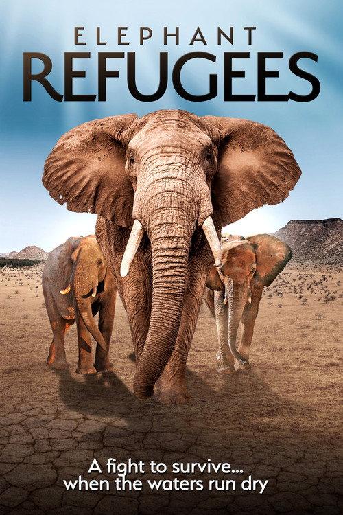 Elephant Refugees 2020 official movie poster