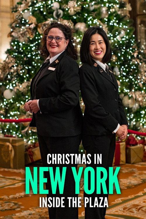Christmas in New York: Inside the Plaza 2020 official movie poster