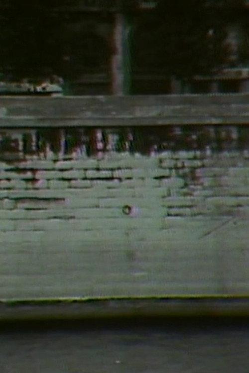 Bridge Film 1981 official movie poster