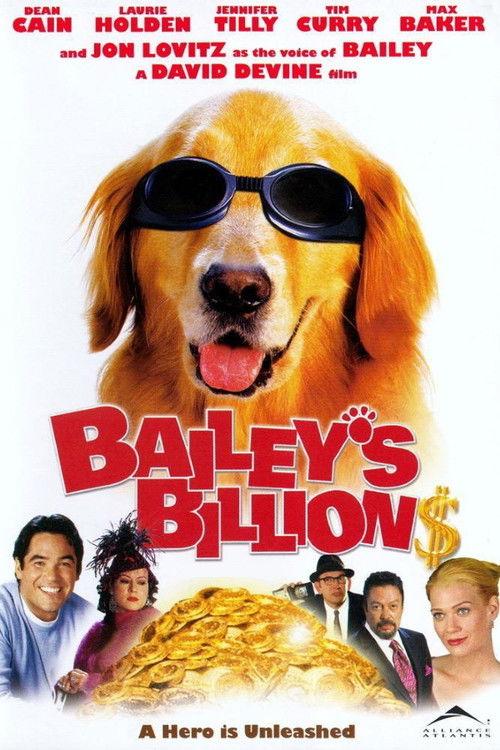 Bailey's Billion$ 2005 official movie poster