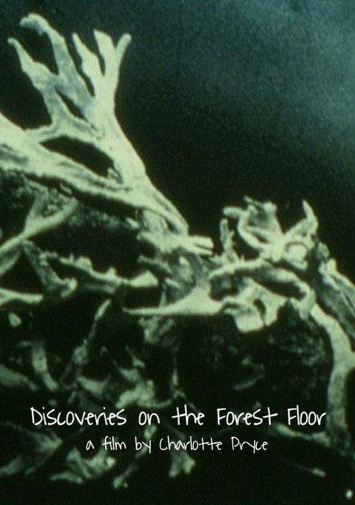 Discoveries on the Forest Floor 1-3 2006 official movie poster