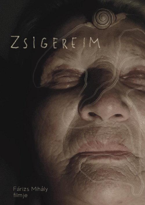Zsigereim 2024 official movie poster