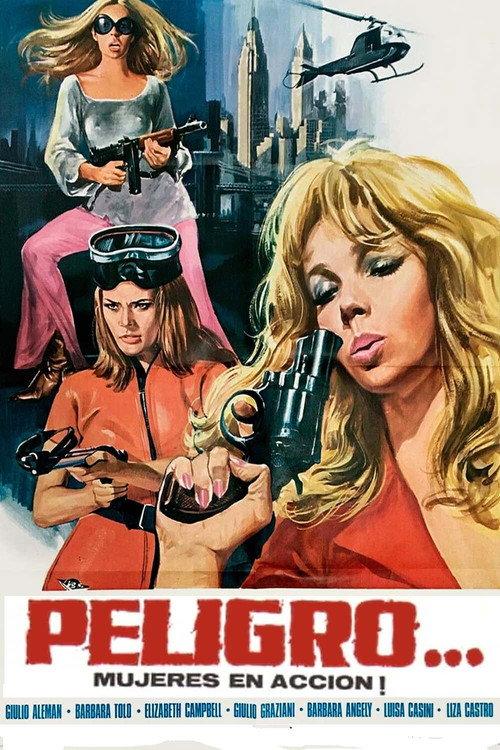 Danger...! Women in Action 1969 official movie poster
