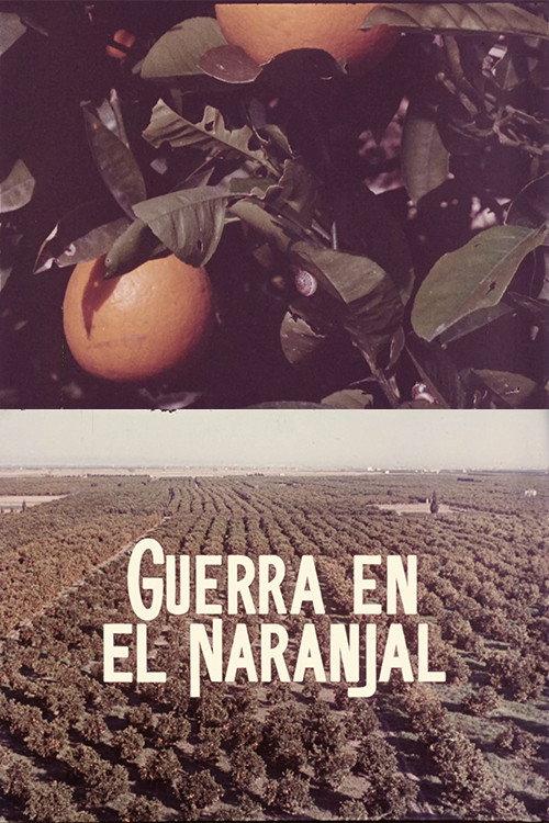 Guerra en el naranjal 1971 official movie poster