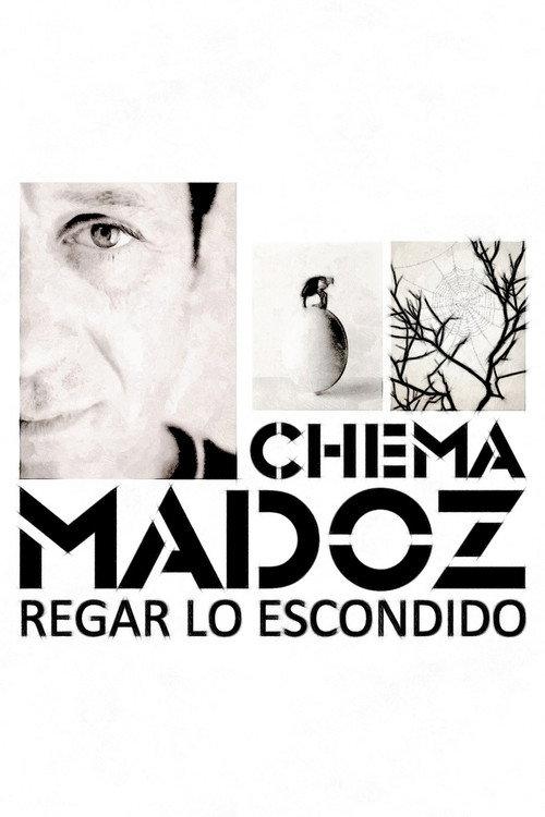 Chema Madoz: regar lo escondido 2013 official movie poster