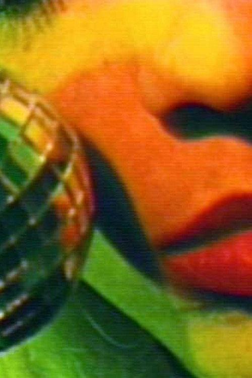 Drag On a Fag 1993 official movie poster